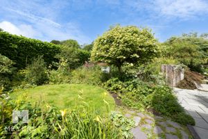 Photo 11- click for photo gallery